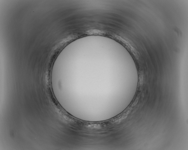 X0000111210353200907011056
