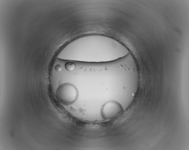 X0000111210354200907011056