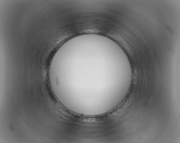X0000111210355200907011056