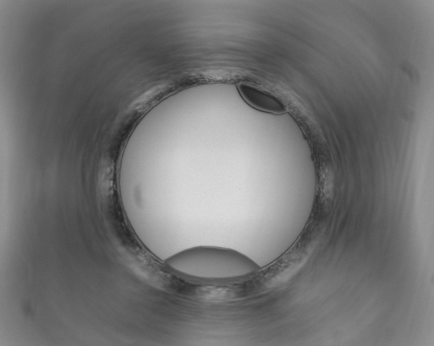 X0000111210356200907011056