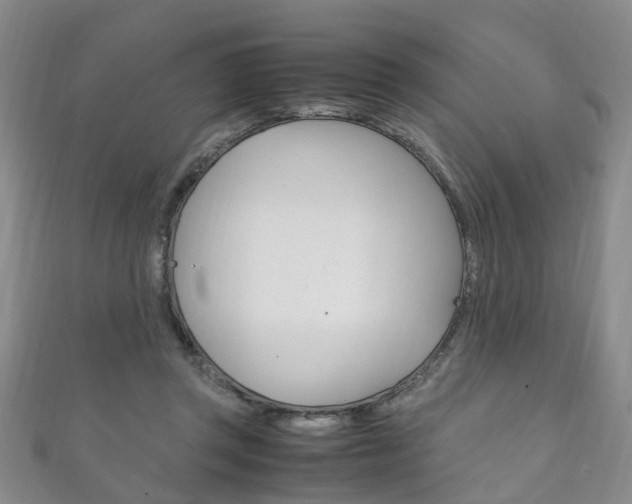 X0000111210357200907011056