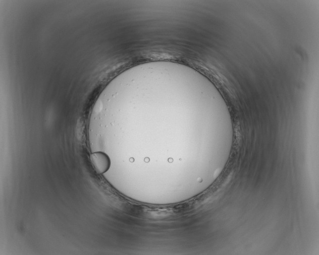 X0000111210359200907011056