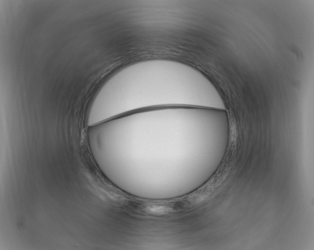 X0000111210360200907011056