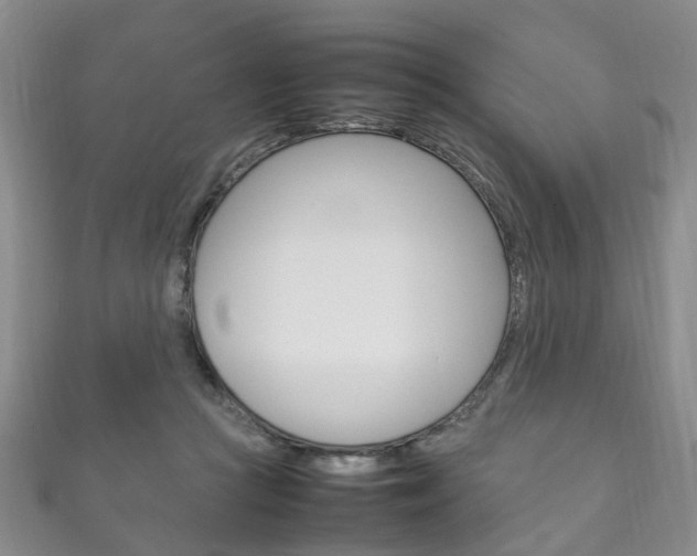 X0000111210361200907011056