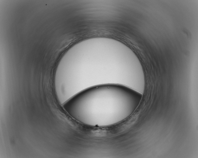 X0000111210362200907011056