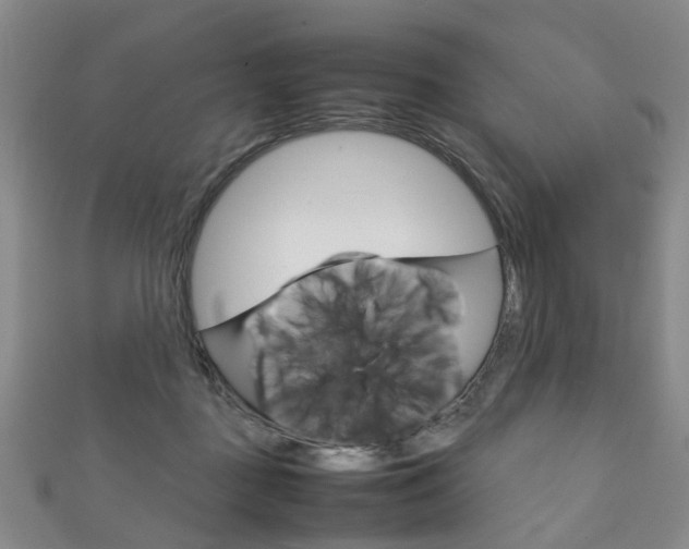 X0000111210363200907011056