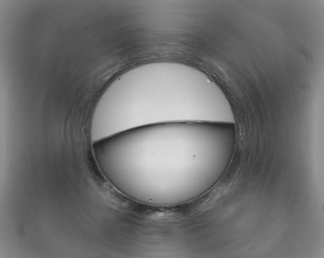 X0000111210364200907011056