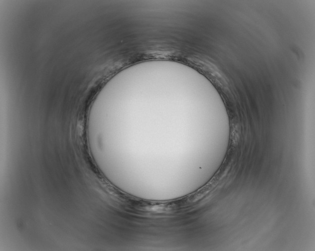X0000111210365200907011056