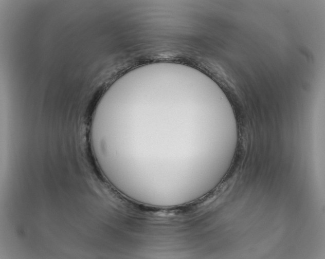 X0000111210366200907011056