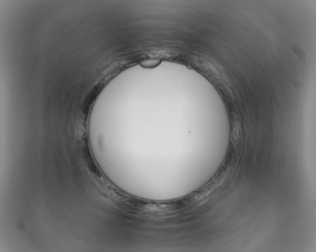 X0000111210367200907011056