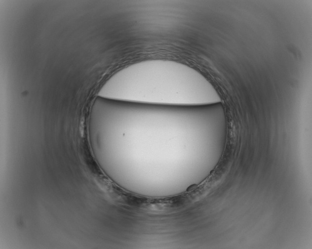 X0000111210368200907011056