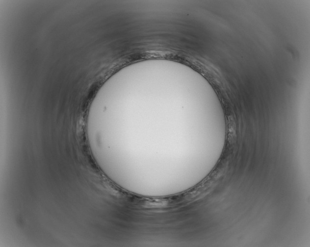 X0000111210369200907011056