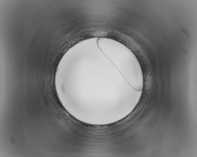 X0000111210370200907011056