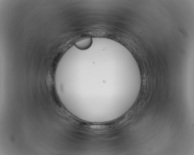 X0000111210371200907011056