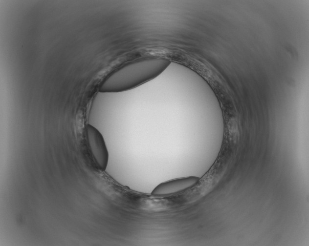 X0000111210372200907011056