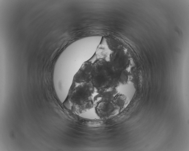 X0000111210373200907011056