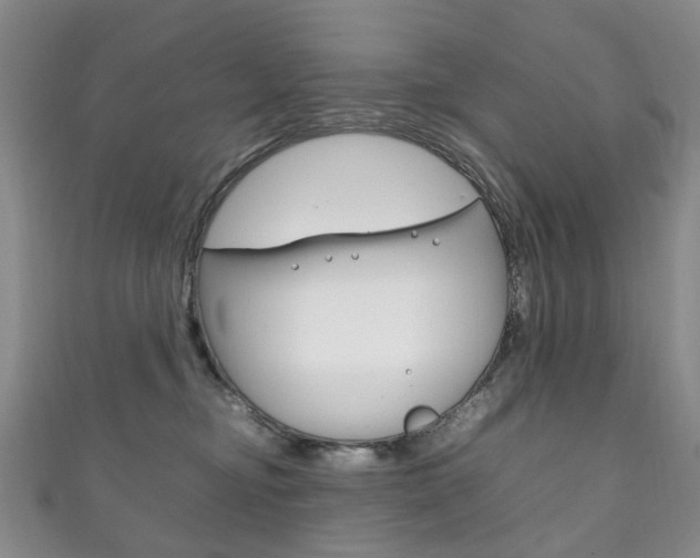 X0000111210374200907011056