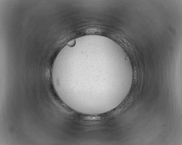 X0000111210375200907011056