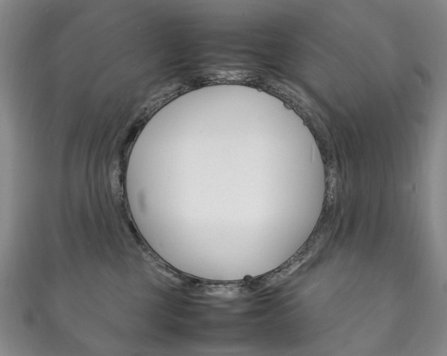 X0000111210377200907011056