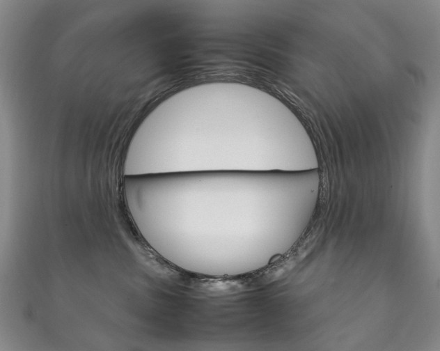 X0000111210379200907011056