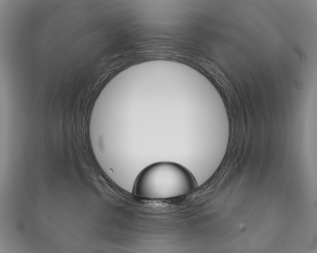 X0000111210380200907011056