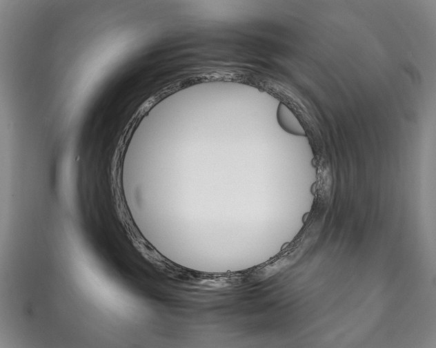 X0000111210381200907011056