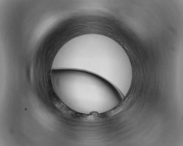 X0000111210382200907011056