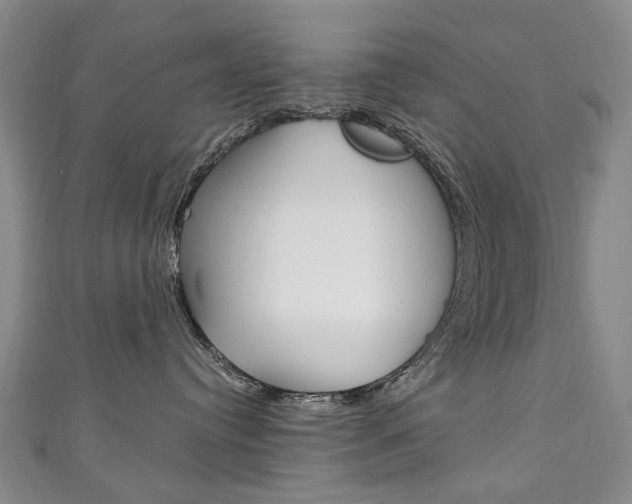 X0000111210384200907011056