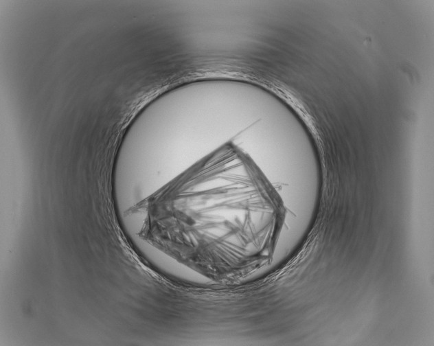 X0000111210385200907011055