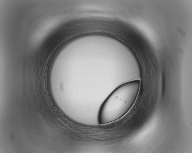 X0000111210387200907011055