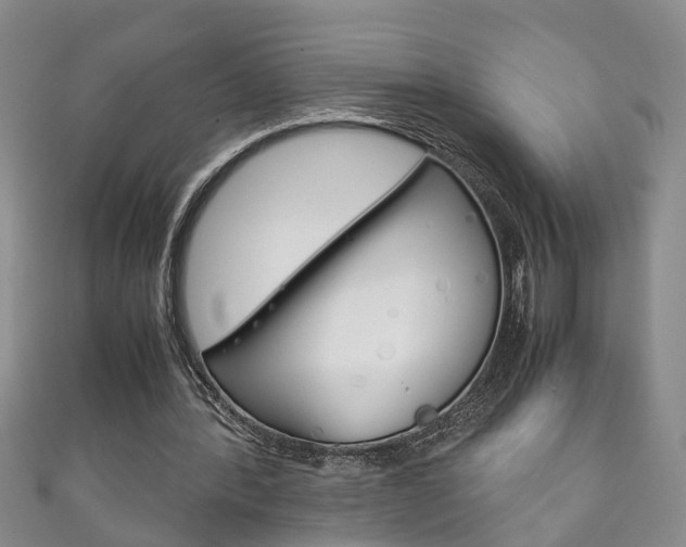 X0000111210388200907011055