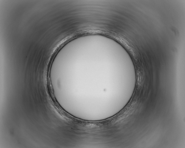 X0000111210390200907011055