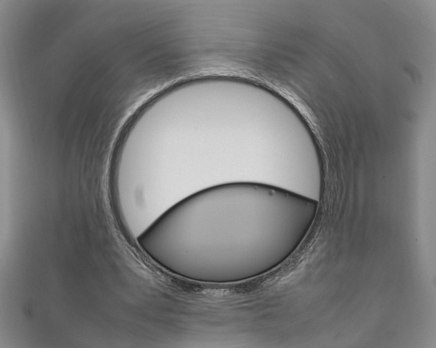 X0000111210391200907011055