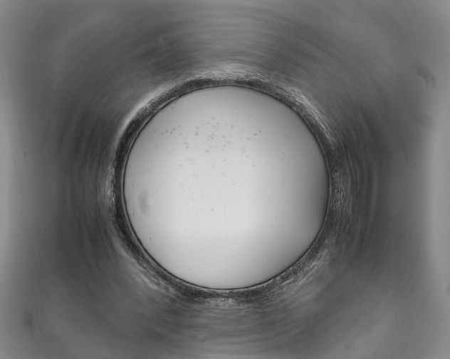 X0000111210392200907011055