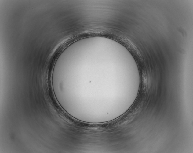 X0000111210396200907011055