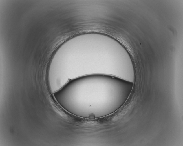 X0000111210397200907011055
