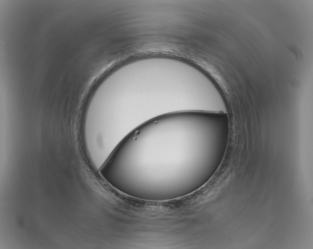 X0000111210399200907011055