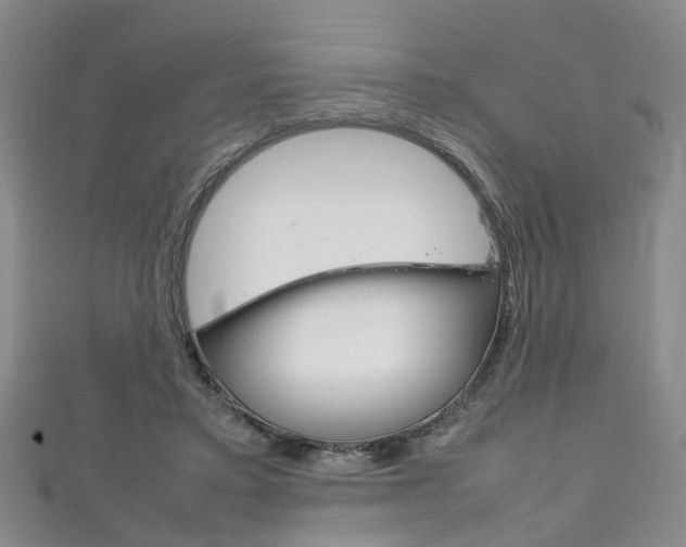 X0000111210403200907011055
