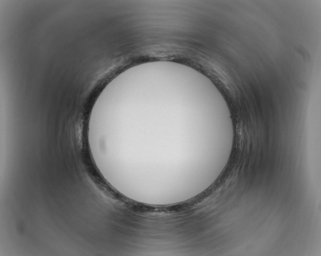 X0000111210404200907011055