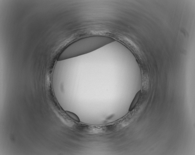 X0000111210405200907011055