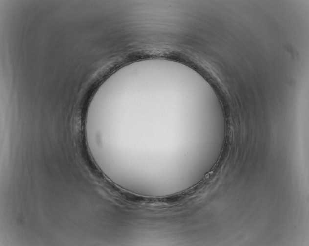 X0000111210407200907011055