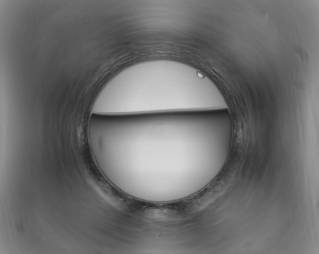 X0000111210408200907011055