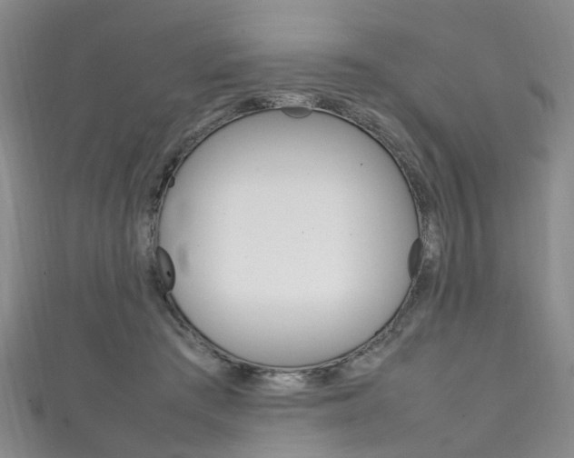 X0000111210409200907011055