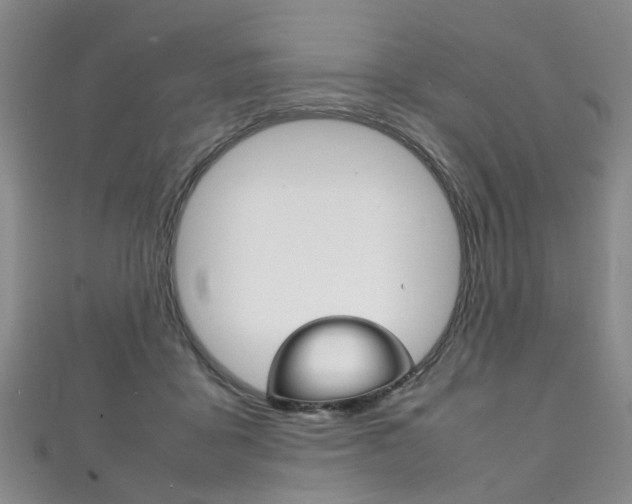 X0000111210411200907011055