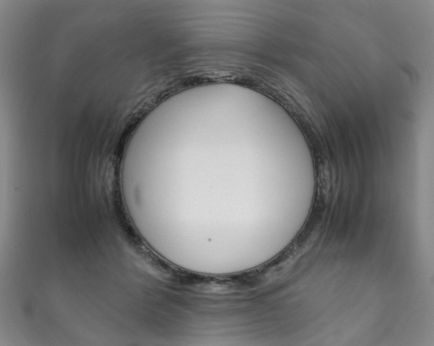 X0000111210412200907011055