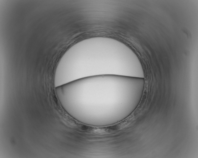 X0000111210413200907011055