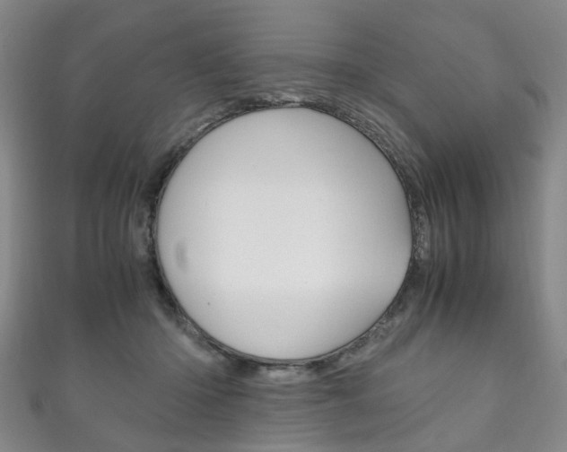 X0000111210414200907011055
