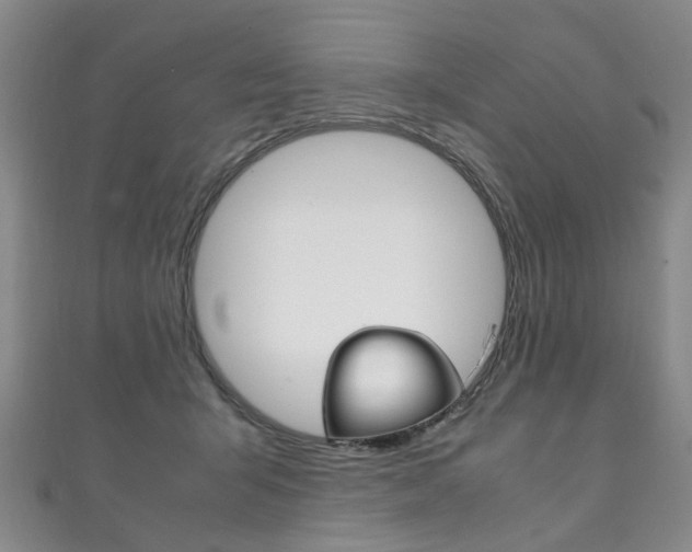 X0000111210415200907011055