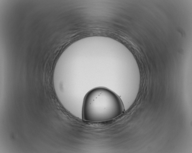 X0000111210417200907011055