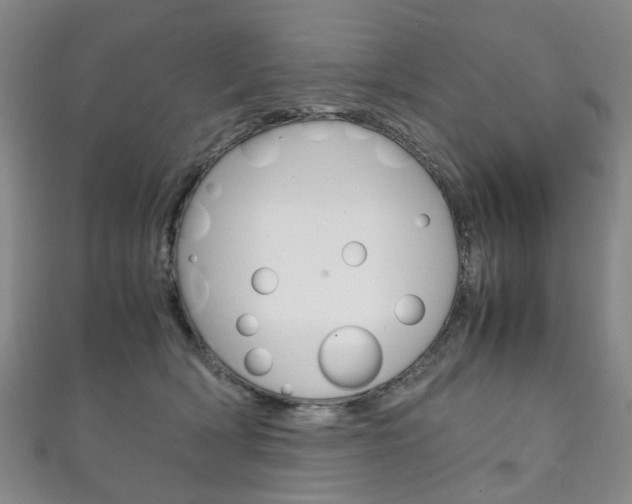 X0000111210418200907011055